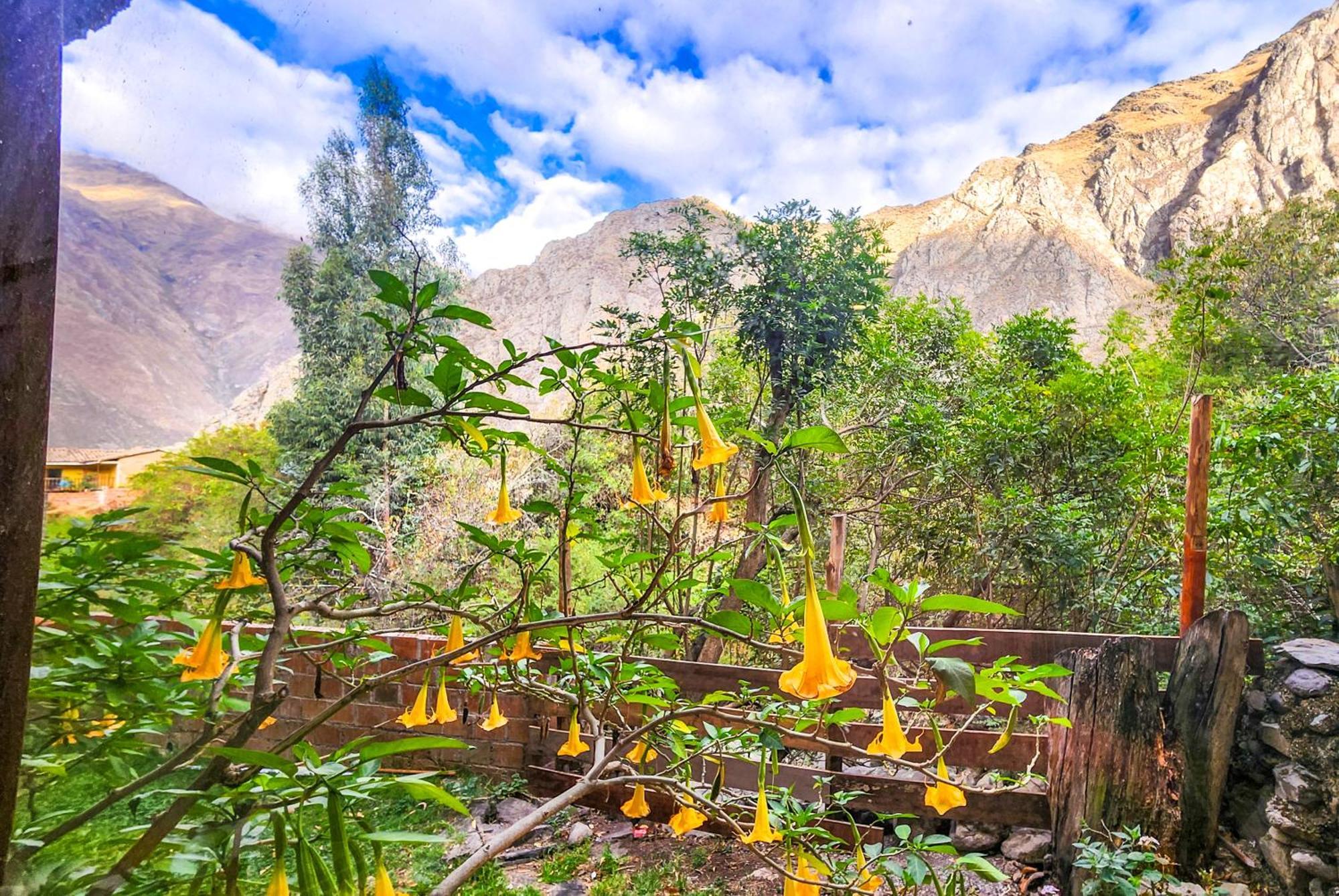 Peru Quechua'S Lodge Оллантайтамбо Экстерьер фото
